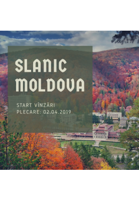 Tratament! Slanic Moldova de la 238 €