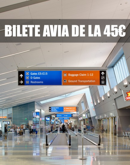 BILETE AVIA DE LA 45 €